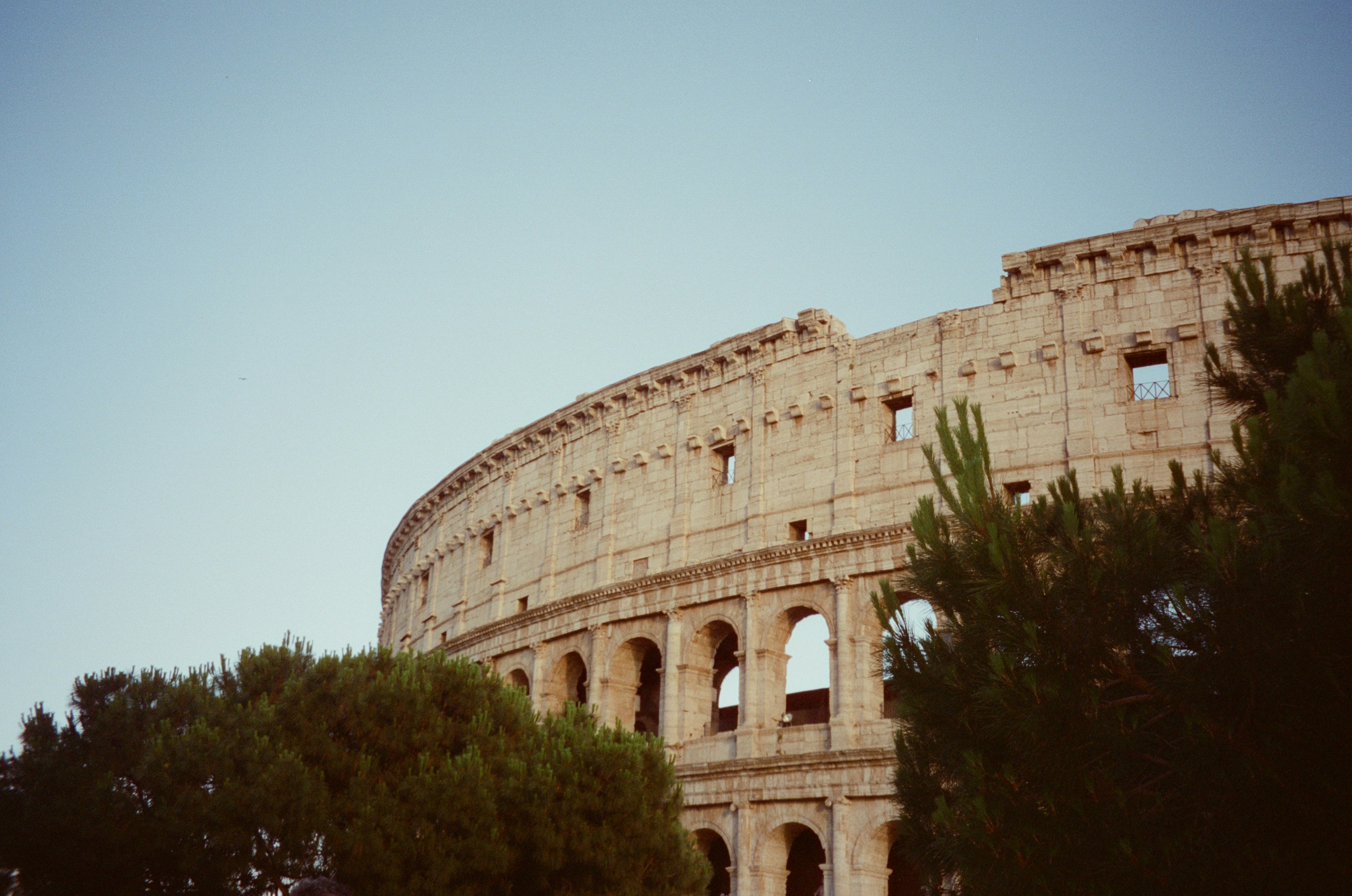 A wide view of the Colosseum’s upper arches at sunset, framed by green trees against a soft blue sky in Rome, Italy