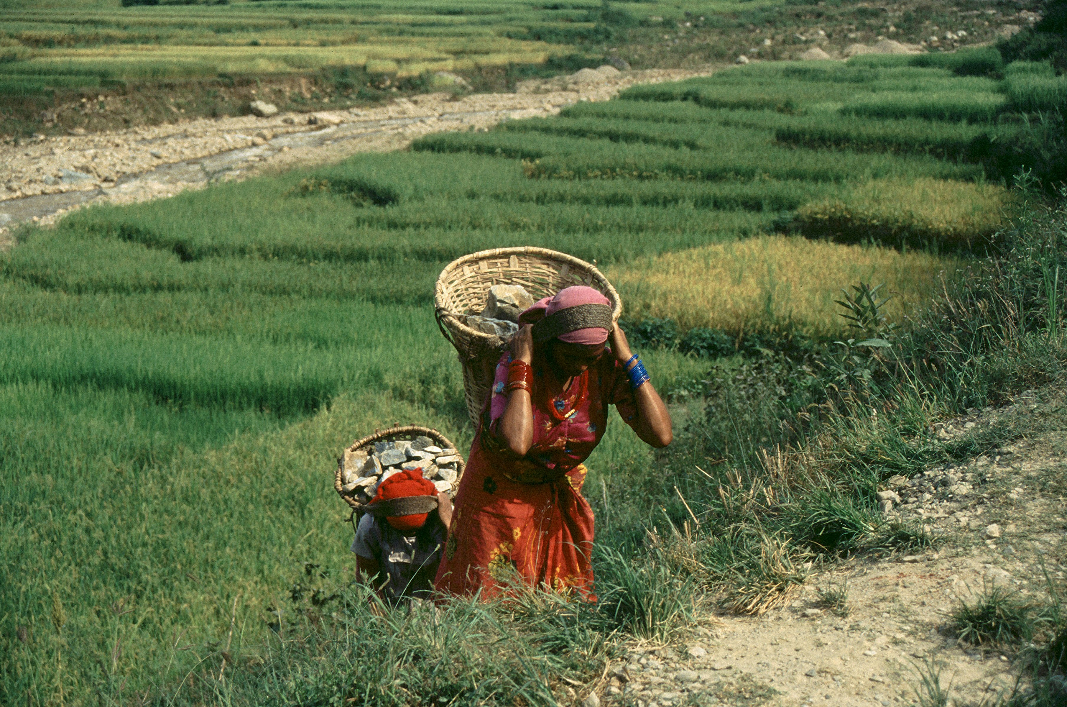 Two women carrying large woven baskets of stone climb a dirt trail through green rice terraces in northern Vietnam